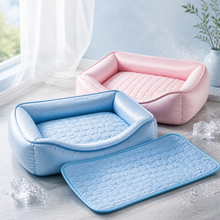 Pack Chat au Frais Patte Fraîche