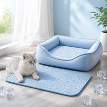 Pack Chat au Frais Patte Fraîche avec un lit Ice Silk et un tapis gel
