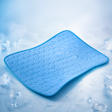 PF VARIANTE Tapis Gel Bleu